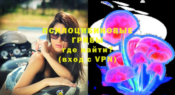 ешки Майский