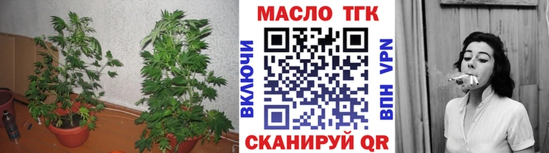 Купить  Усть-Илимск  ТГК Wax 