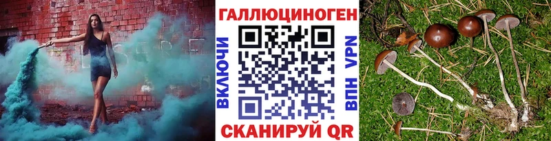 Купить Усть-Илимск Галлюциногенные грибы Magic Shrooms